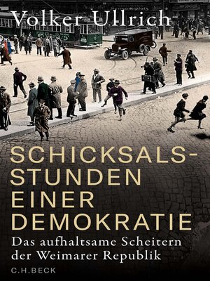 cover image of Schicksalsstunden einer Demokratie